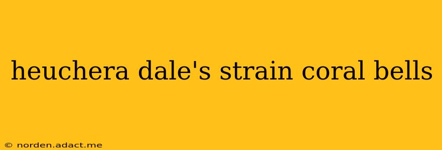 heuchera dale's strain coral bells