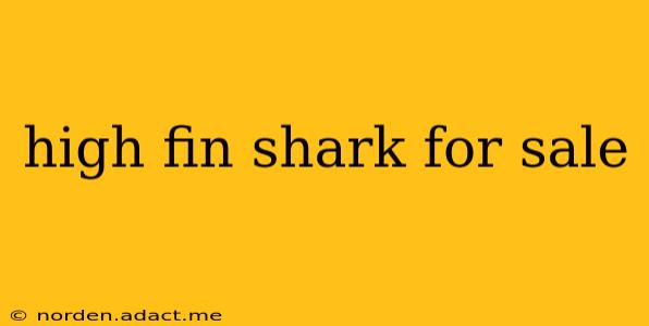 high fin shark for sale