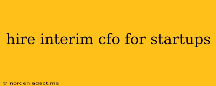 hire interim cfo for startups