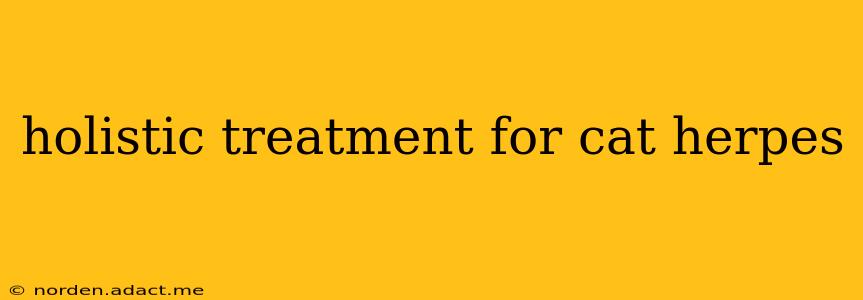 holistic treatment for cat herpes