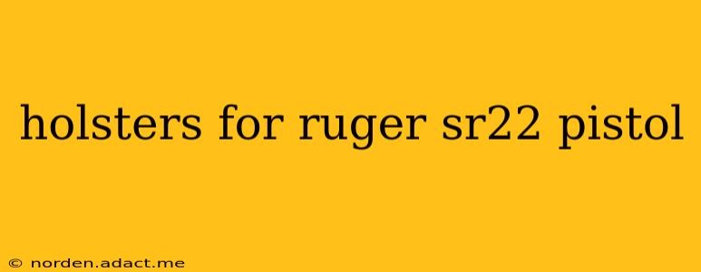 holsters for ruger sr22 pistol