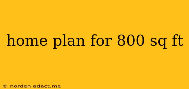 home plan for 800 sq ft