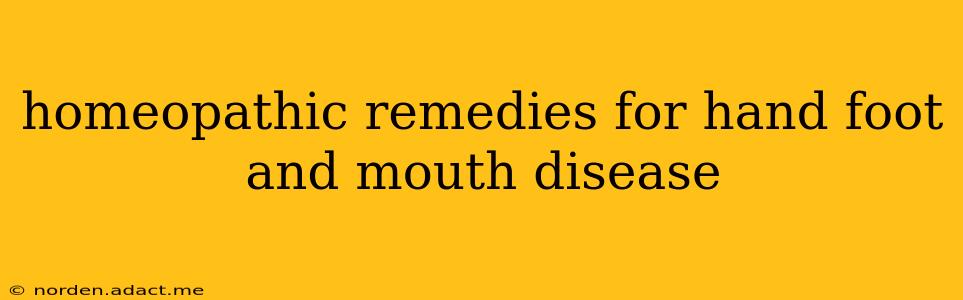 homeopathic remedies for hand foot and mouth disease