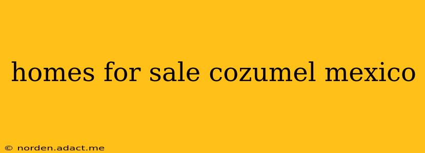 homes for sale cozumel mexico
