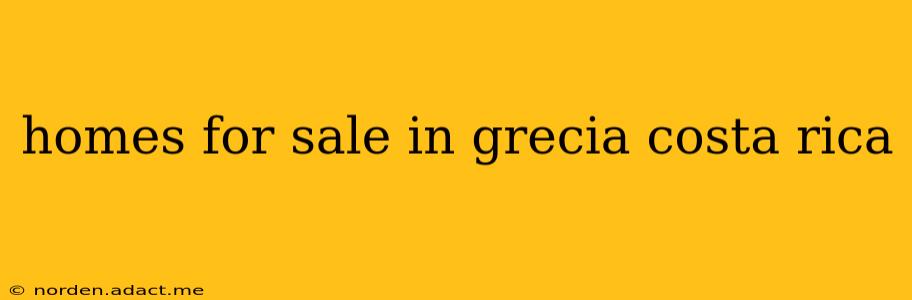 homes for sale in grecia costa rica