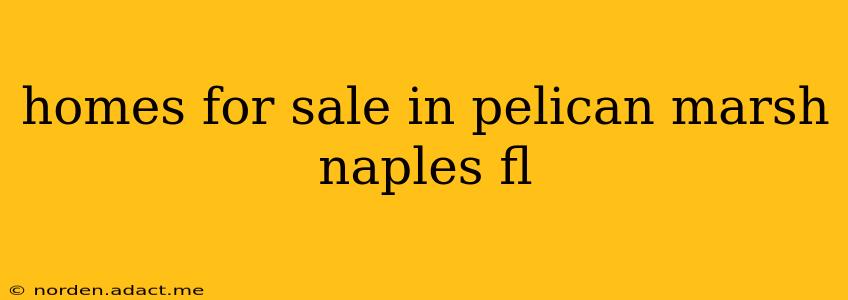 homes for sale in pelican marsh naples fl