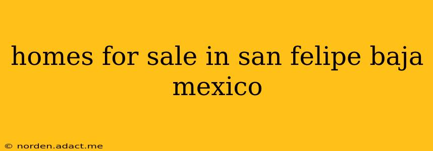 homes for sale in san felipe baja mexico