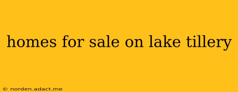 homes for sale on lake tillery