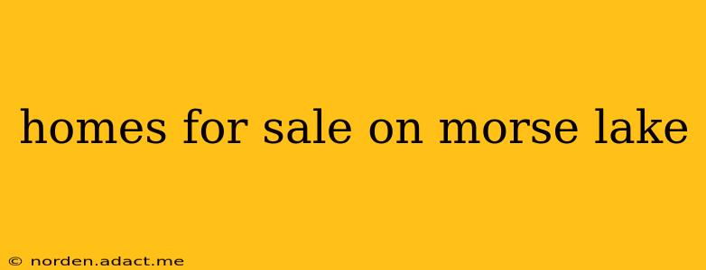 homes for sale on morse lake