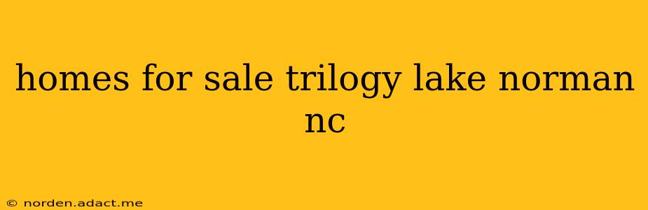 homes for sale trilogy lake norman nc
