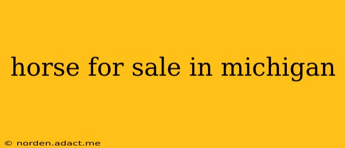 horse for sale in michigan