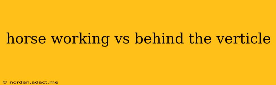 horse working vs behind the verticle