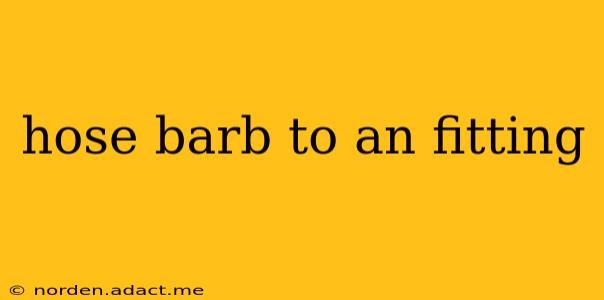 hose barb to an fitting