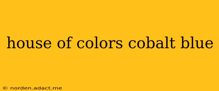 house of colors cobalt blue