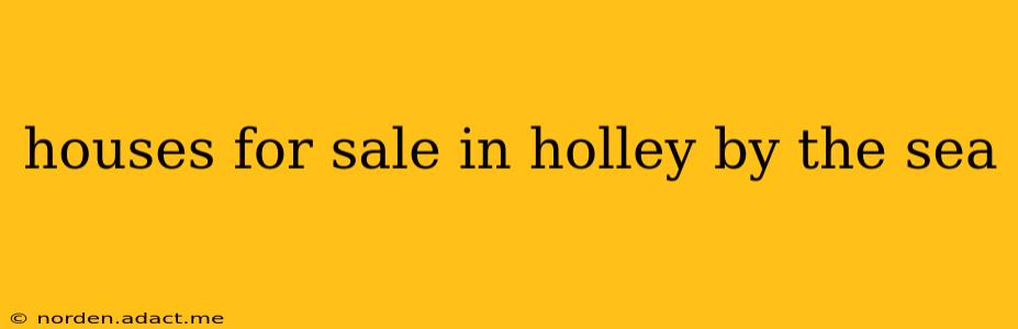 houses for sale in holley by the sea