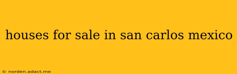 houses for sale in san carlos mexico