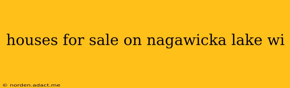 houses for sale on nagawicka lake wi