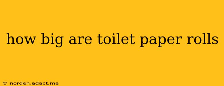 how big are toilet paper rolls