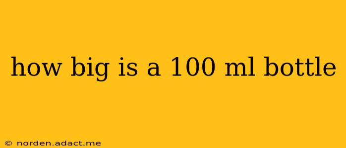 how big is a 100 ml bottle