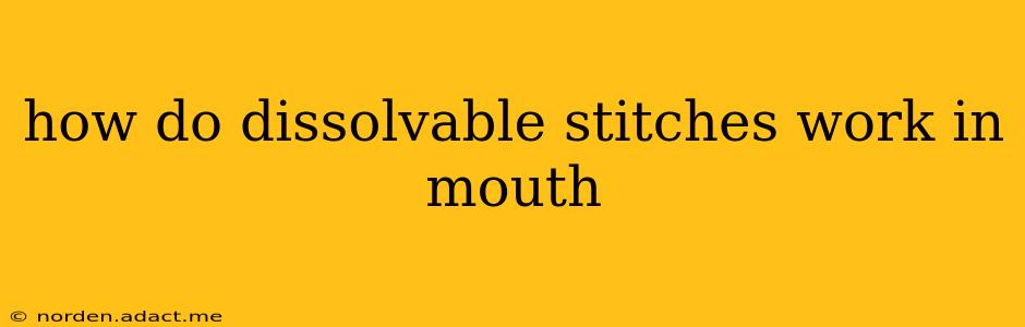 how do dissolvable stitches work in mouth