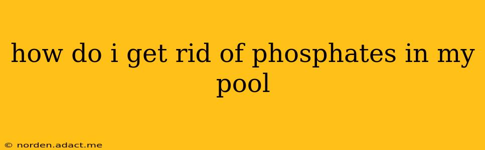 how do i get rid of phosphates in my pool