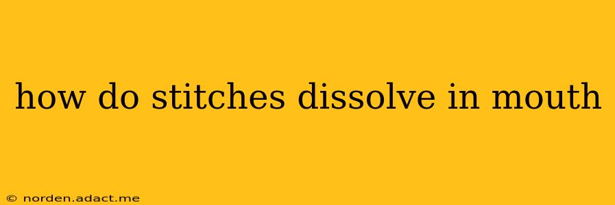 how do stitches dissolve in mouth