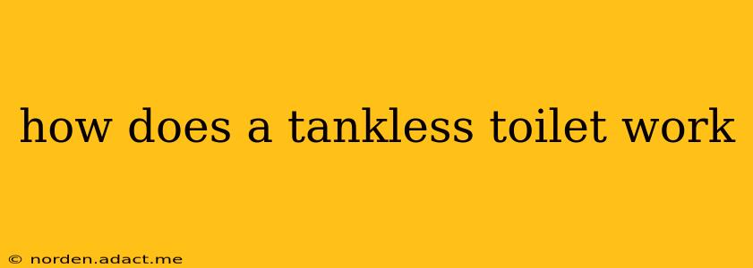 how does a tankless toilet work