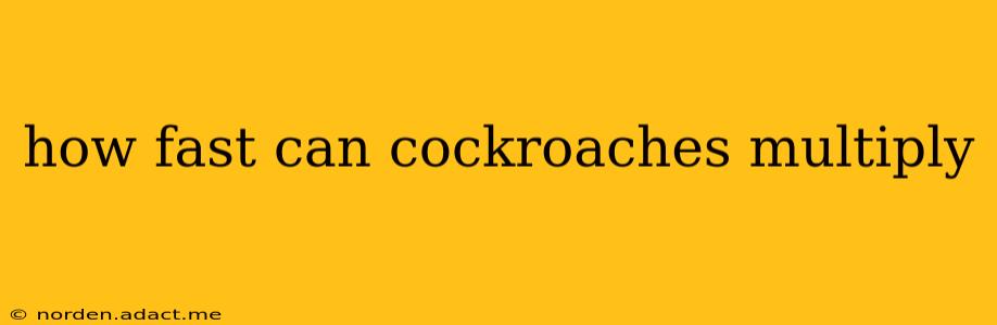 how fast can cockroaches multiply
