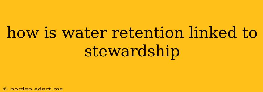how is water retention linked to stewardship