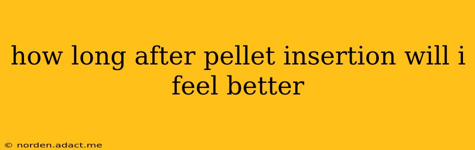 how long after pellet insertion will i feel better
