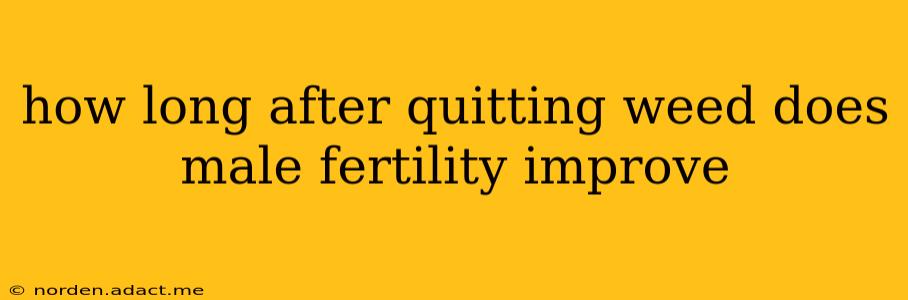 how long after quitting weed does male fertility improve