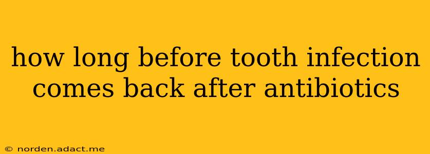how long before tooth infection comes back after antibiotics