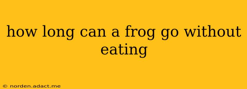 how long can a frog go without eating