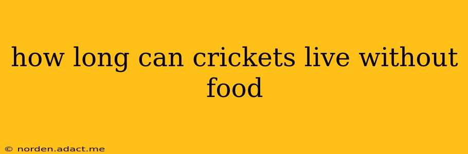 how long can crickets live without food