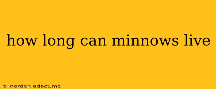 how long can minnows live