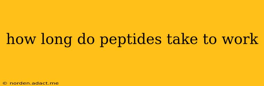 how long do peptides take to work