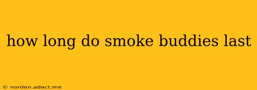 how long do smoke buddies last