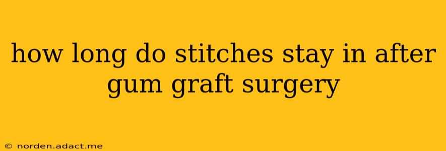 how long do stitches stay in after gum graft surgery