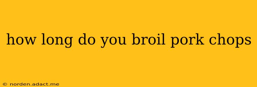 how long do you broil pork chops