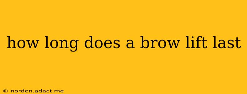 how long does a brow lift last
