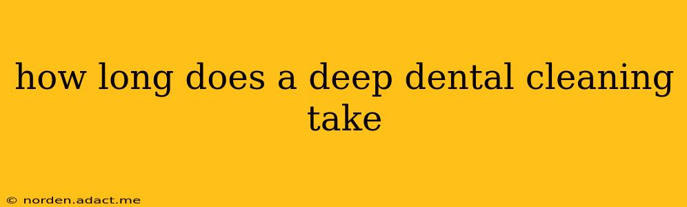 how long does a deep dental cleaning take