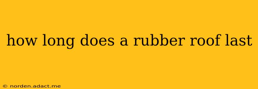 how long does a rubber roof last