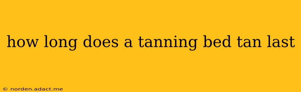 how long does a tanning bed tan last
