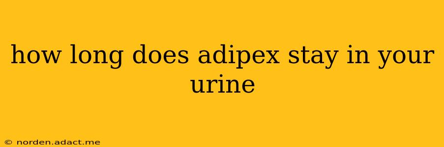 how long does adipex stay in your urine