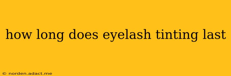how long does eyelash tinting last