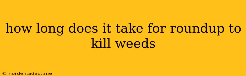 how long does it take for roundup to kill weeds