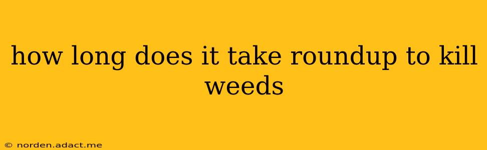 how long does it take roundup to kill weeds