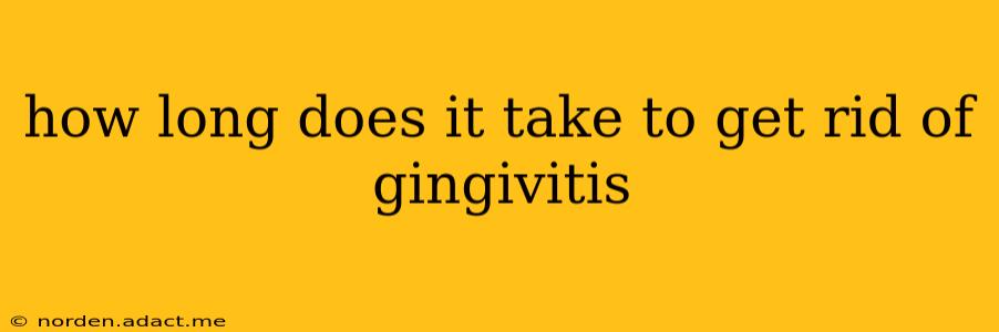 how long does it take to get rid of gingivitis