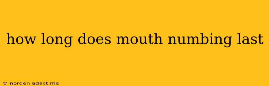 how long does mouth numbing last