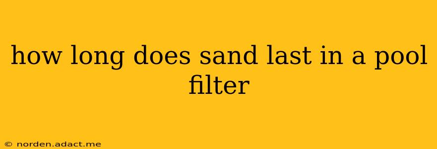 how long does sand last in a pool filter